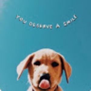 Meet your Posher, Bella